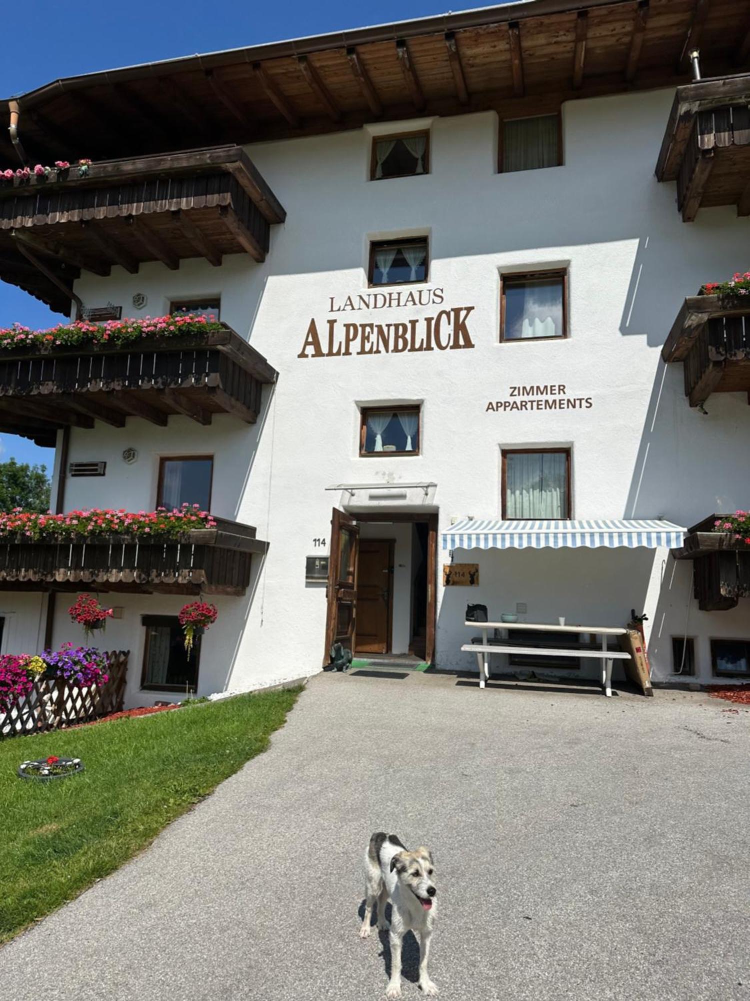 Landhaus Alpenblick Obsteig Extérieur photo